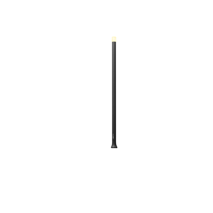 Erba Medium