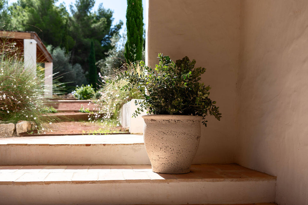 Poseidon, Chalk White