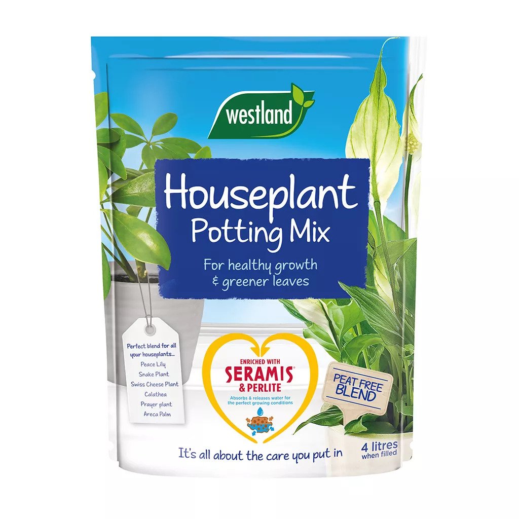 potting mix for swiss cheese plant Houseplant potting mix