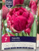 Tulipa Royal Acres