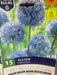 Allium caeruleum