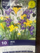 Iris Mix