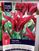 Tulipa Doll's Minuet