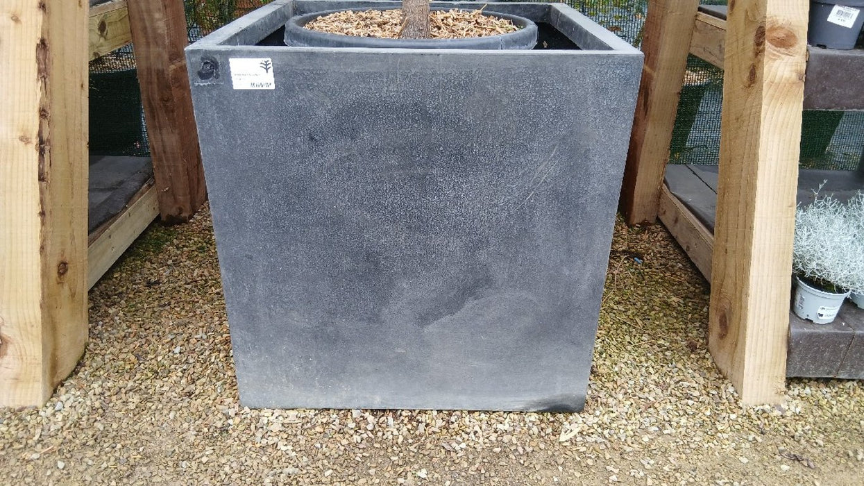 Block XXL