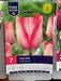 Tulipa Pink Sound