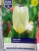 Tulipa Purissima