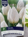 Tulipa White Prince