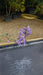 Nepeta 'Walker's Low'
